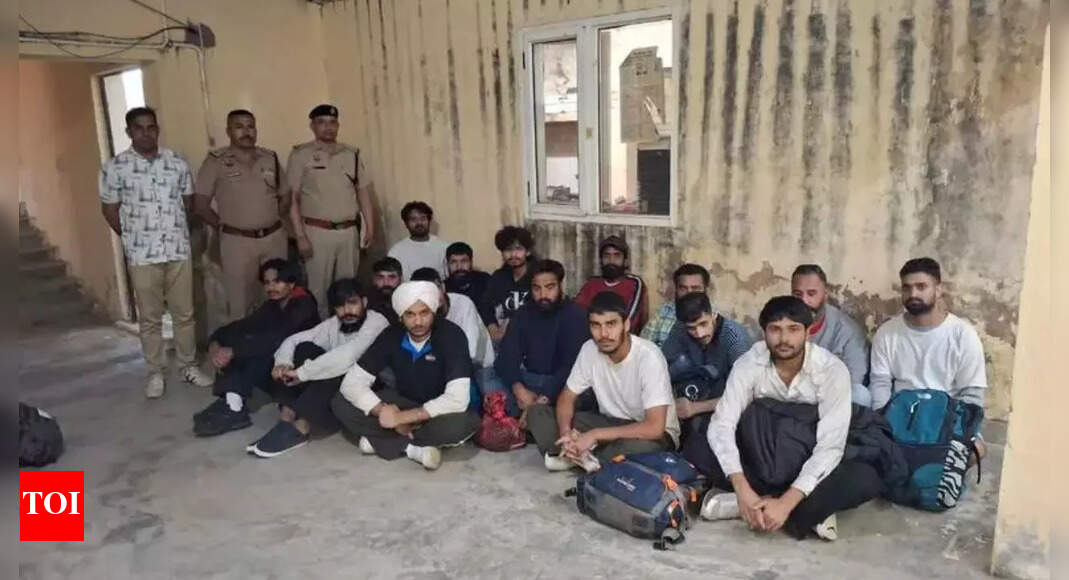 Sold land, crossed jungles, jailed abroad: 50 Haryana youths handcuffed, deported from US