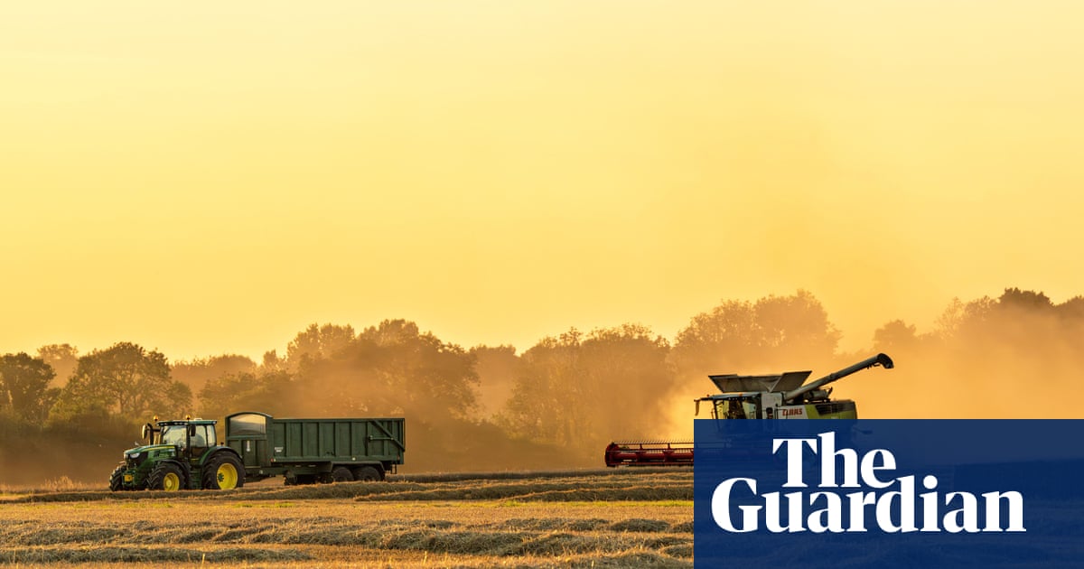 UK must stockpile food in readiness for climate shocks or war, expert warns