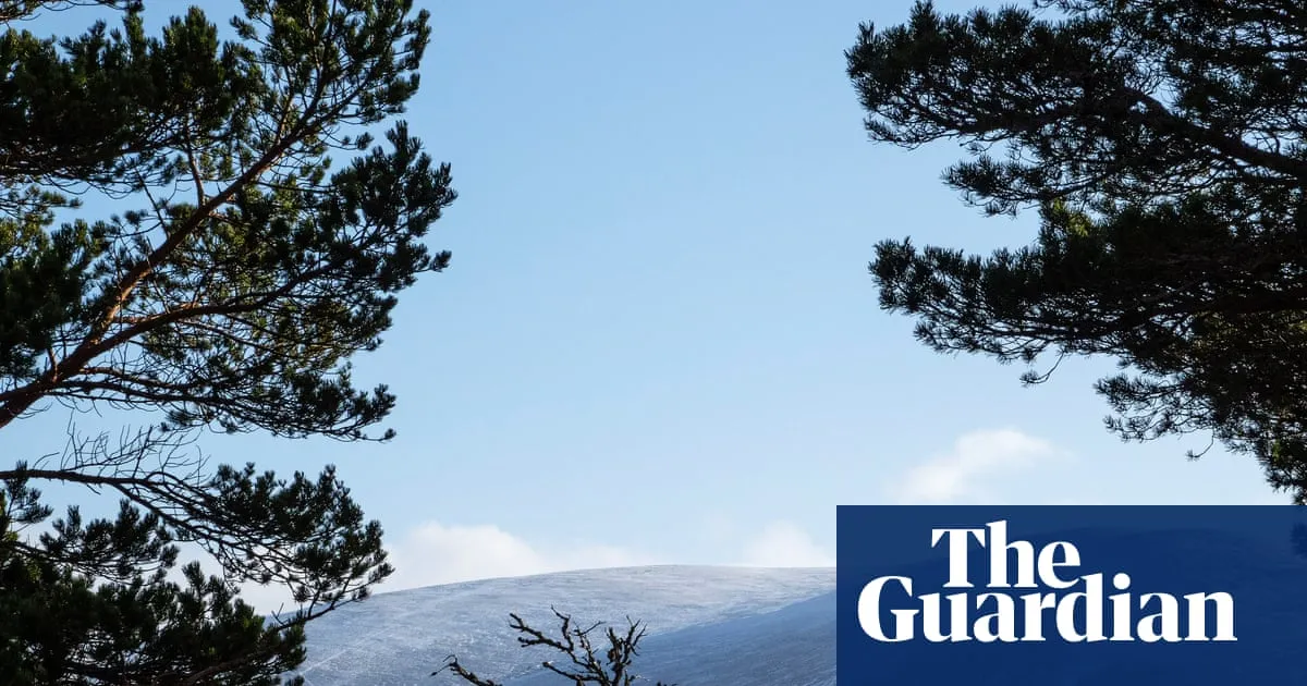 BrewDog sold highland estate for knockdown price after abandoning reforestation plans