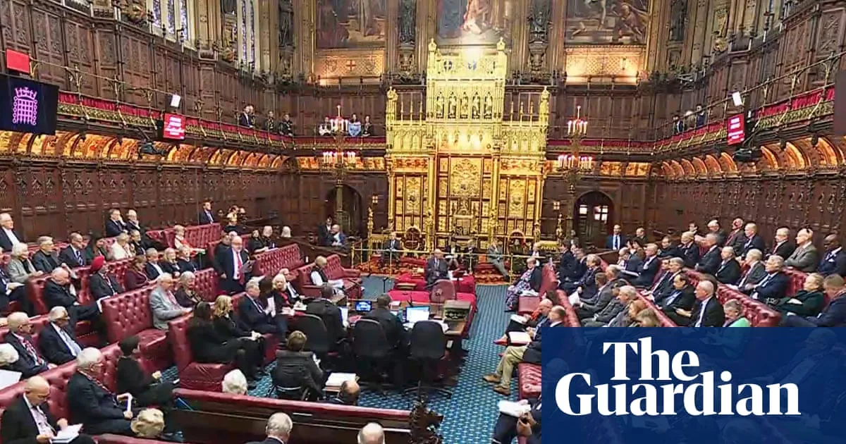 Proposed law does not protect children born to convicted paedophiles, Lords to hear