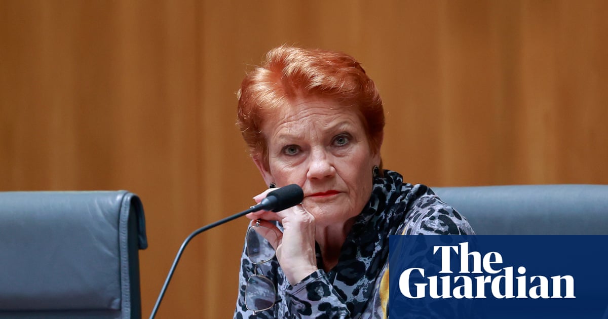 Pauline Hanson secured taxpayer-funded solar rebate despite calling for subsidies to large-scale renewables to end