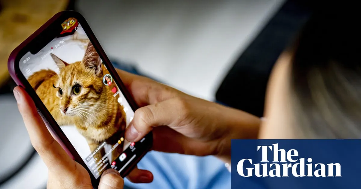 MPs reject ban on social media for under-16s