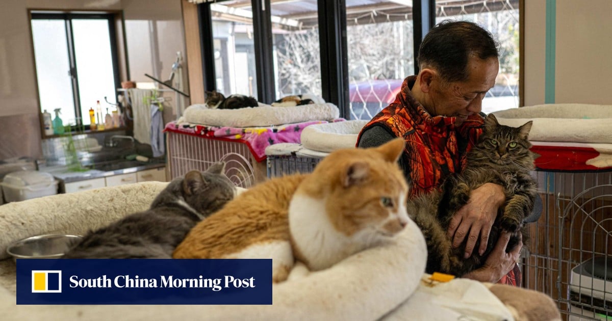 Japan: Fukushima worker devotes life to abandoned pets after nuclear disaster
