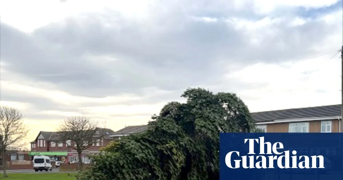 Christmas tree in Durham village chopped down hours after lights switched on