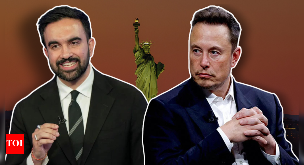 Praise or taunt? Elon Musk calls Zohran Mamdani 'future of Democratic Party' - watch