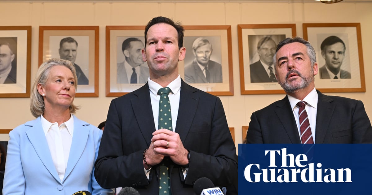 Matt Canavan elected new Nationals leader and calls for ‘more Australian babies, more Australian everything’
