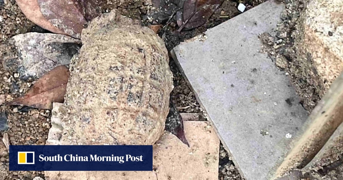 Suspected wartime grenade found in Hong Kong residential area