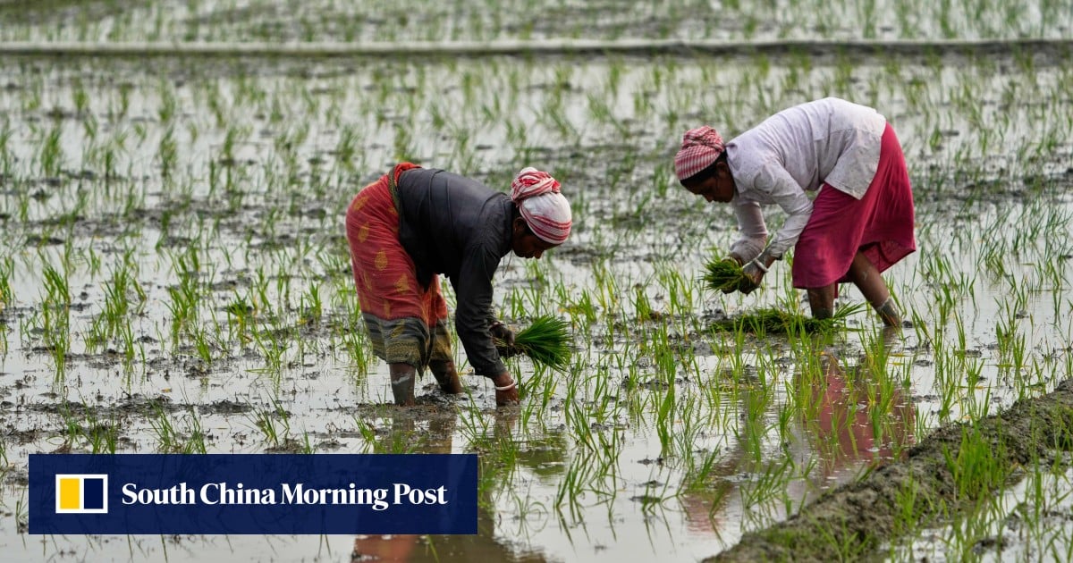 War on Iran threatens Asia’s food supply as fertiliser prices surge