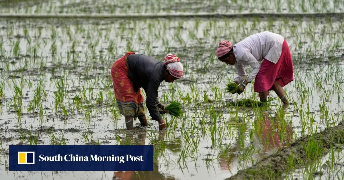 War on Iran threatens Asia’s food supply as fertiliser prices surge