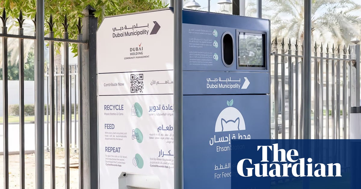 Thousands of pets being abandoned in Dubai as owners flee over Iran war