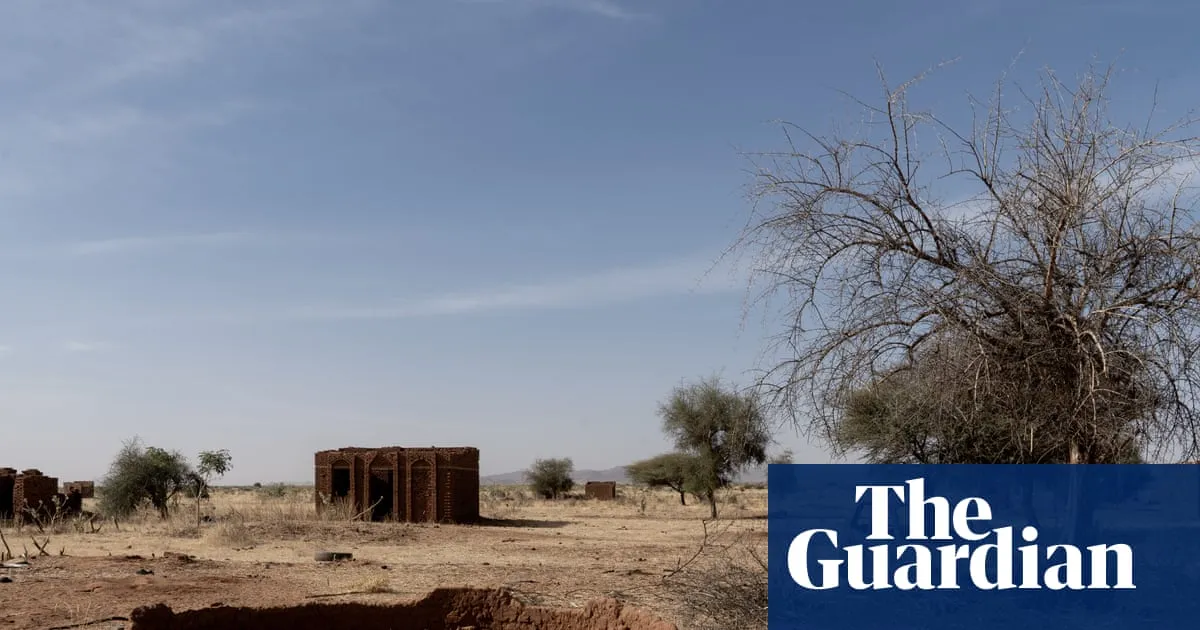 At least 17 killed after drone strikes school in Sudan