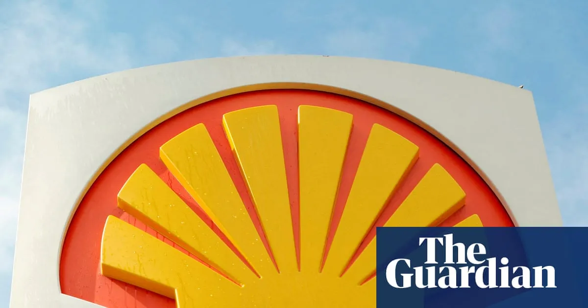Shell CEO’s pay jumps 60% despite slump in oil firm’s profits