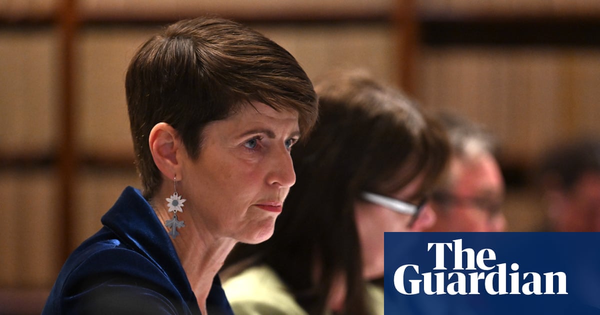 NSW minister ‘not going anywhere’ as calls mount for independent inquiry into children living with convicted killer