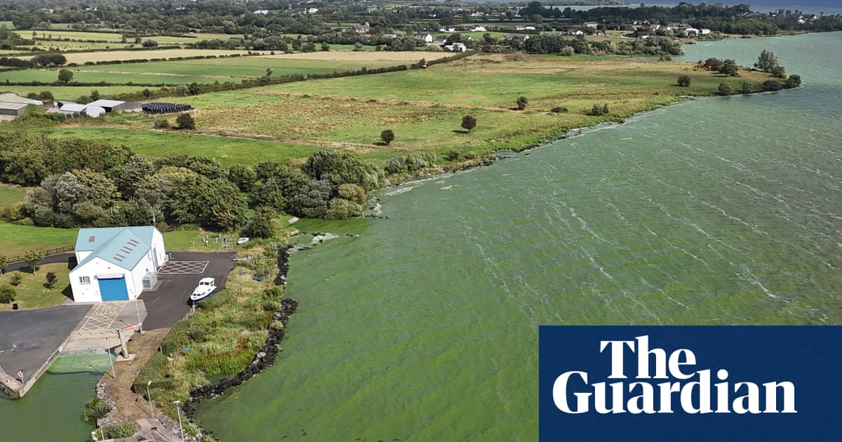 ‘Drinking from a fetid pond’: superbug-creating genes found in UK’s largest lake