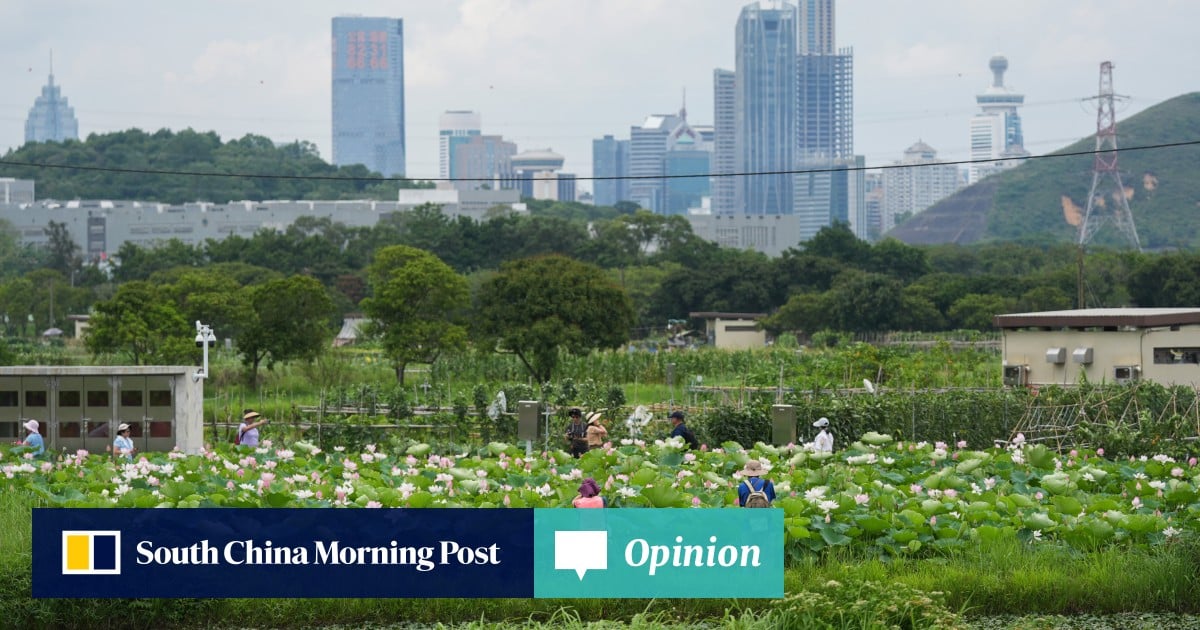To stay competitive, Hong Kong must embrace nature-based solutions