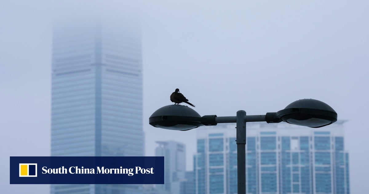 Damp days ahead in Hong Kong, with 95% humidity expected in midweek