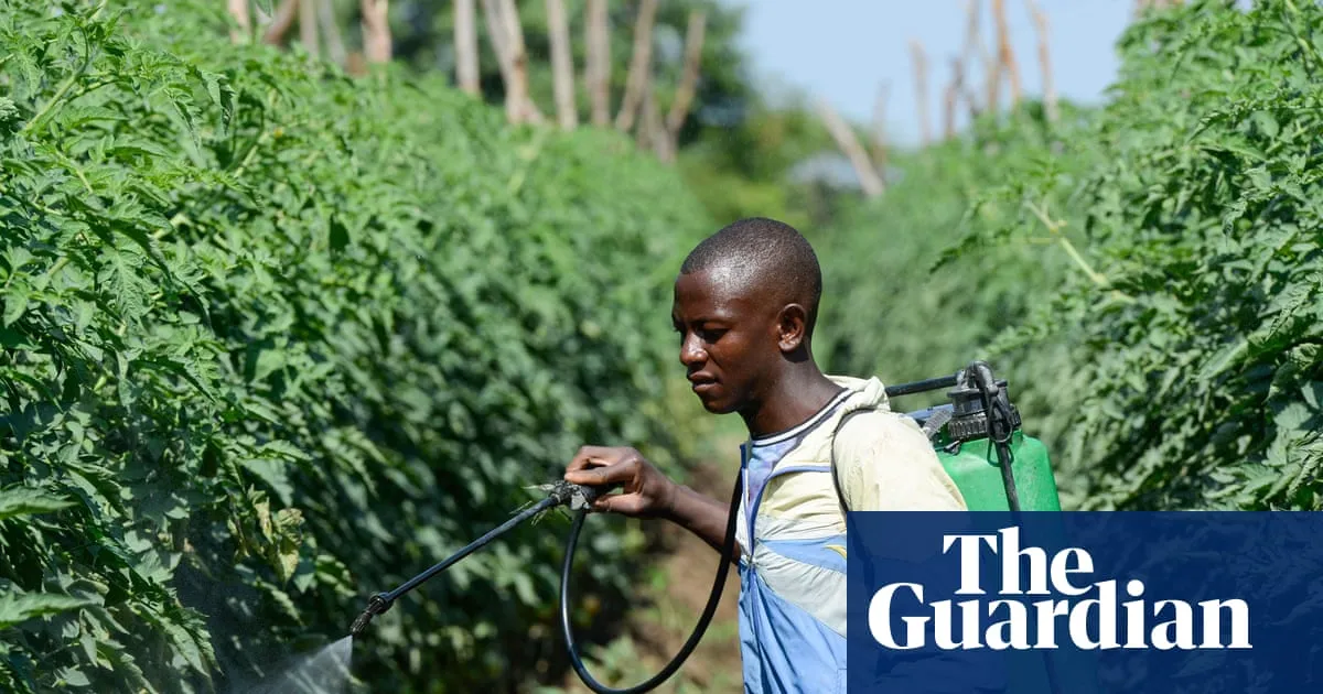 Africa particularly vulnerable as Iran conflict disrupts supply chains, say experts