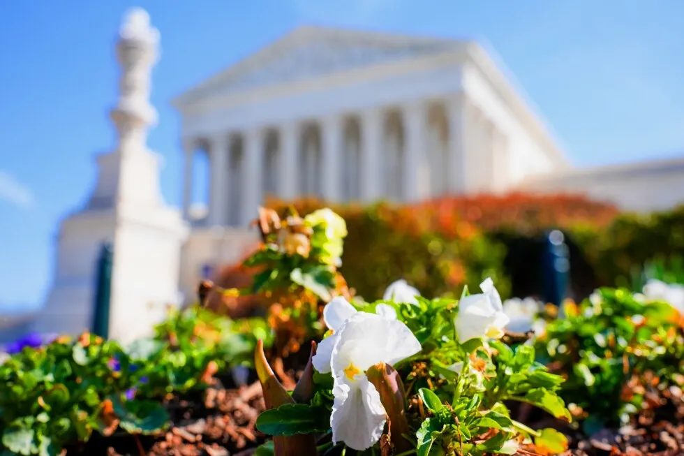 Is spring really — finally — here?