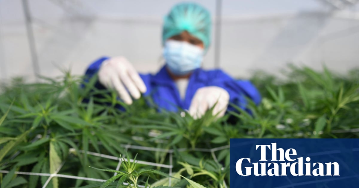 Cannabis is not an effective treatment for common mental health conditions, says review