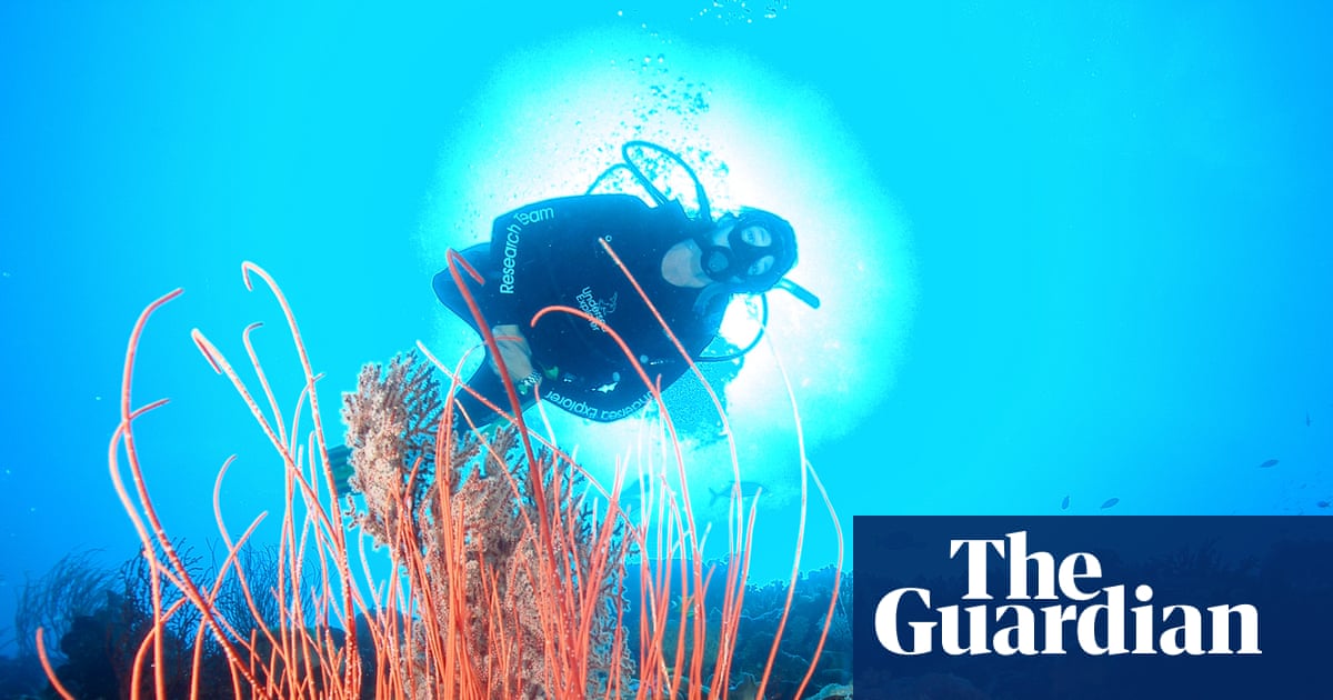 Australia’s environment minister wants to ban fishers and drillers from more ocean – and avoid a culture war