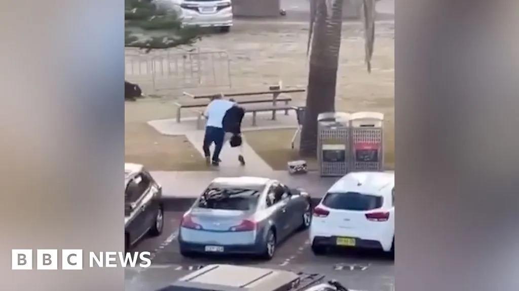 Eyewitness captures moment man tackles and disarms Bondi shooter