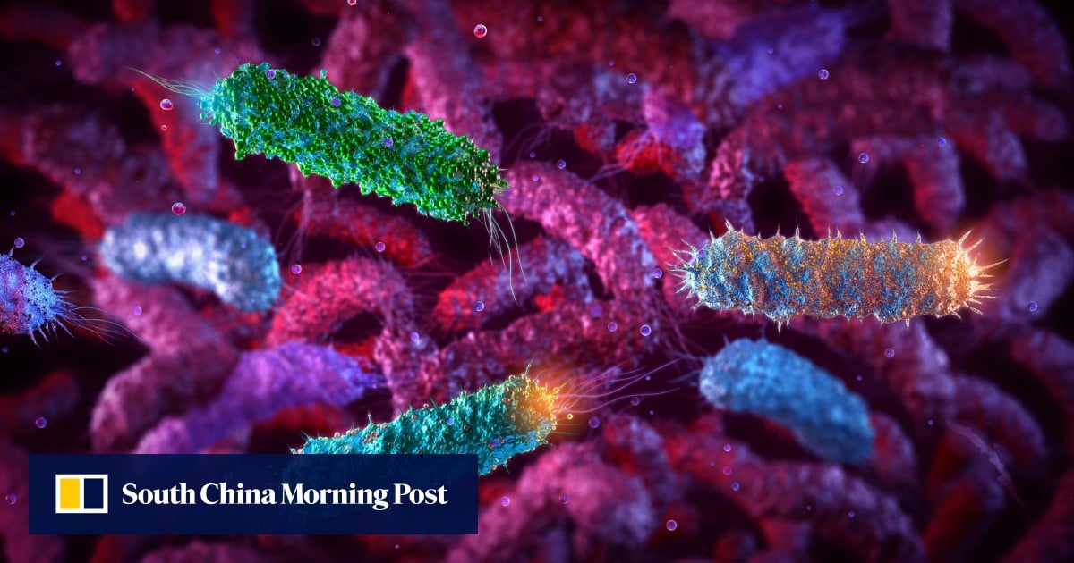 Chinese scientists use E coli to fight breast tumours from within in mice study