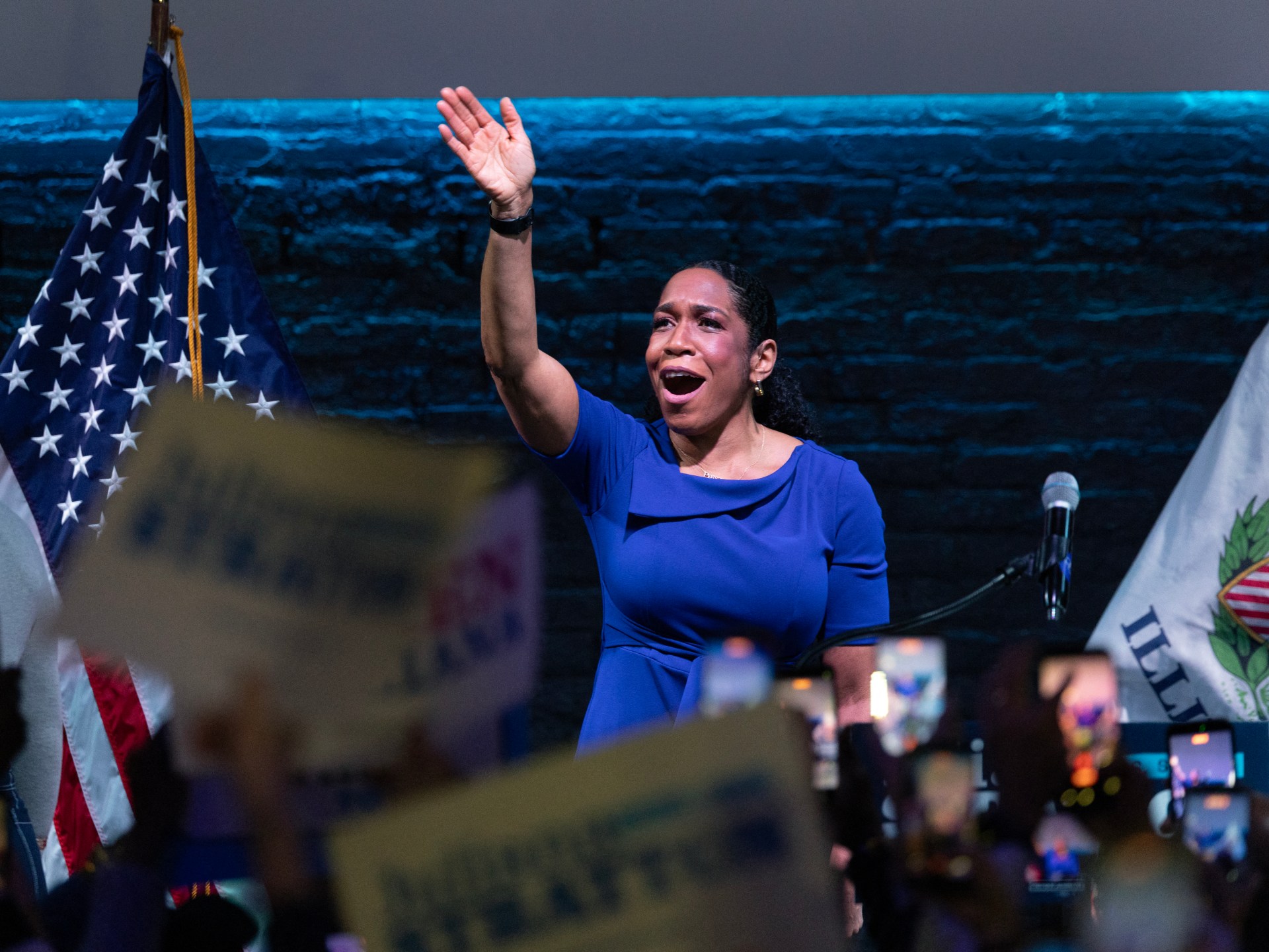 Pro-Israel groups see mixed record in money-fuelled Illinois primaries