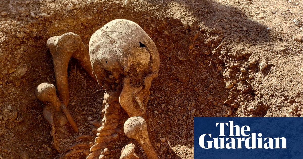 Ancient skeleton unearthed in France is latest to be found sitting upright