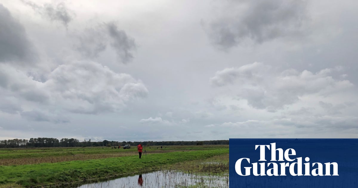 England should give over 7% of land to nature and renewables to meet environmental targets, data shows