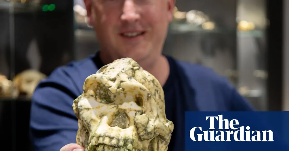 Little Foot hominin fossil may be new species of human ancestor