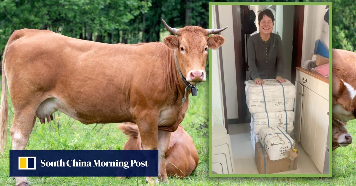 China woman working away from home receives care package containing entire cow from parents