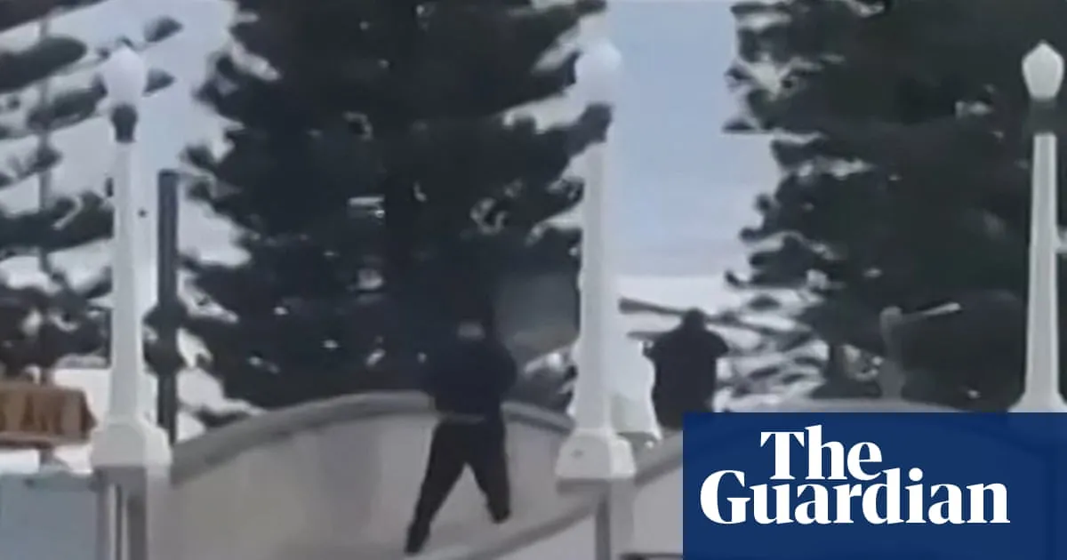 Bondi beach terror attack: father and son duo alleged to be behind shooting using licensed firearms