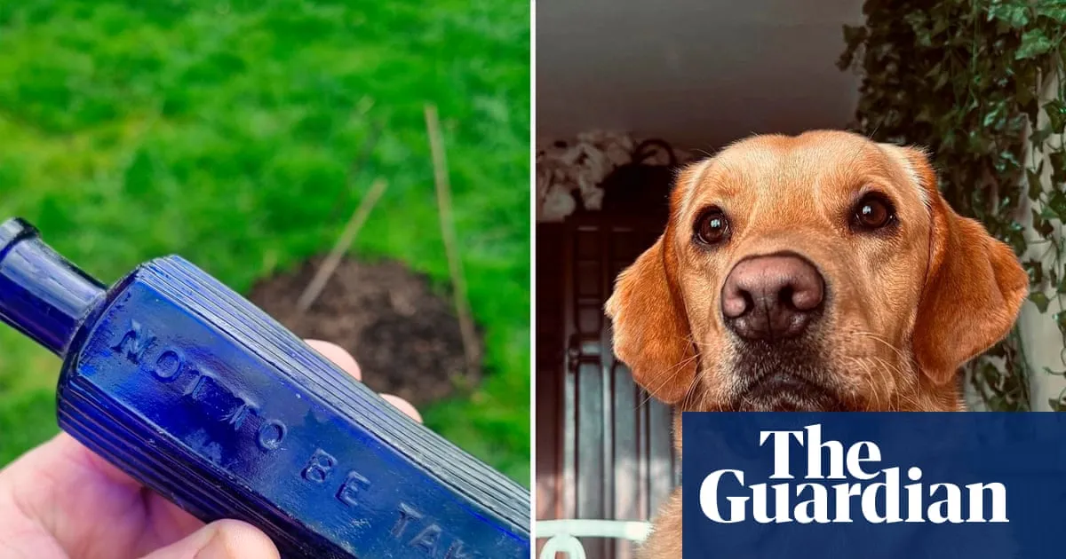 Dog digs up possible link to notorious 19th-century Devon murder case