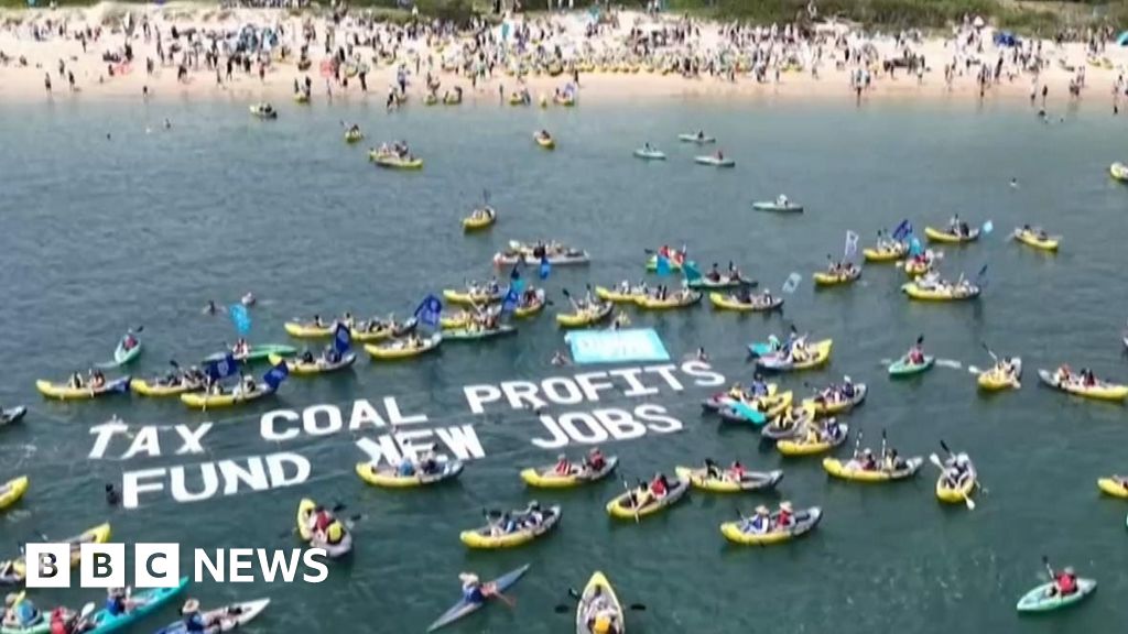Climate protesters in kayaks disrupt operations at Australian port