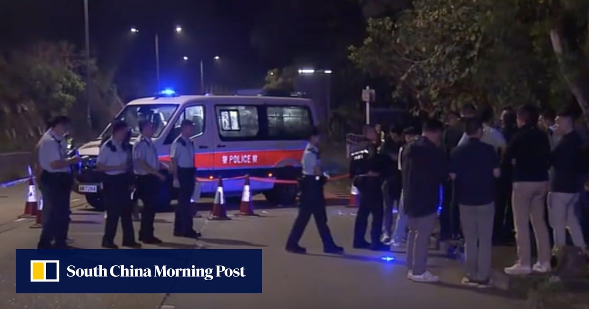 Police officers fire 5 shots at charging assailant carrying serrated knife, metal rod