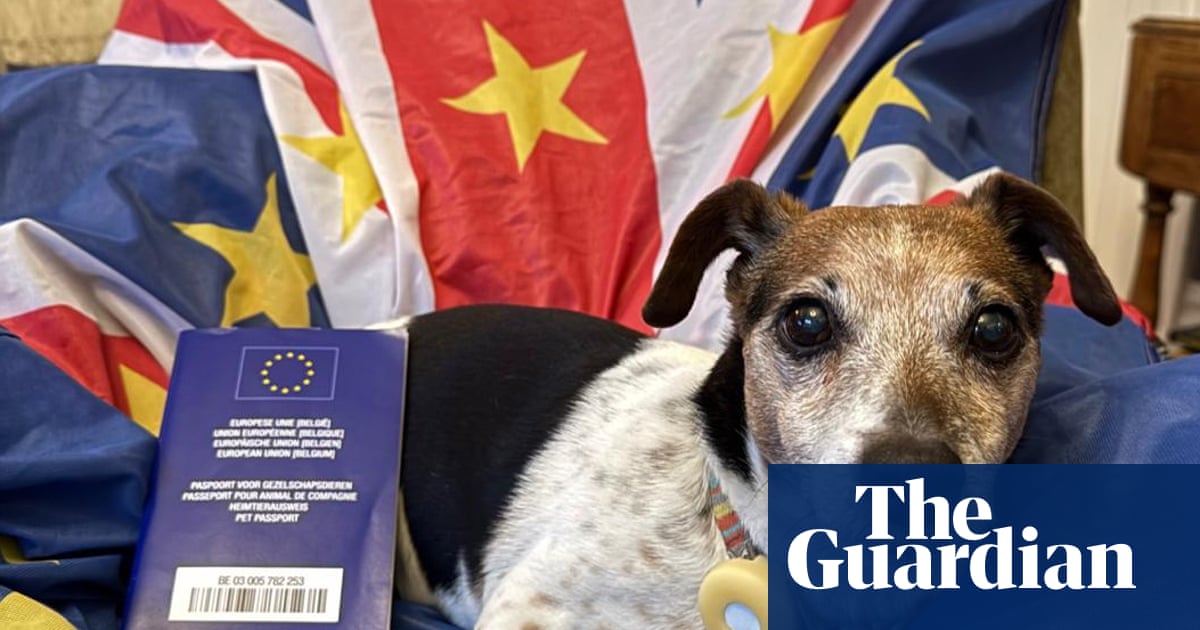 Owners from Great Britain travelling to EU warned over pet passport ‘dodge’