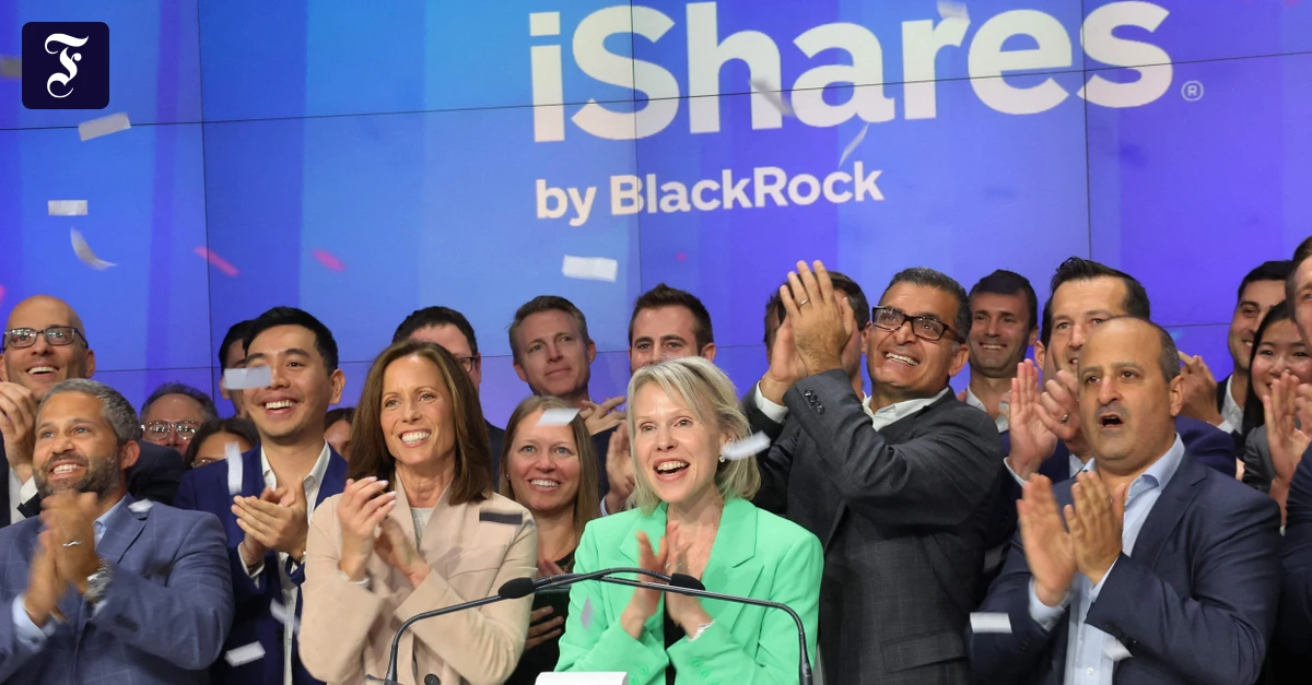 Größe und Preis maßgeblich: Diese ETF stehen in den Profi-Depots ganz oben