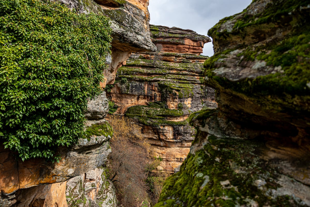Una oportunidad para renacer