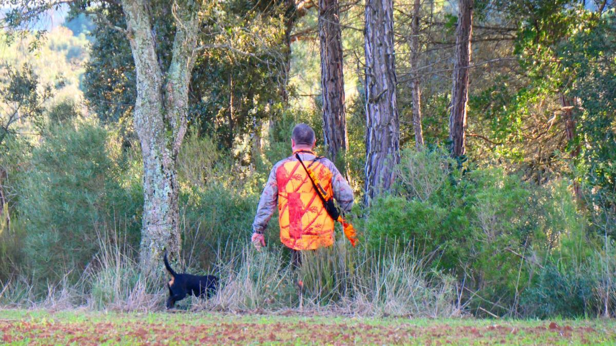 
                                            Madrid concede 1.400 licencias de caza extra para controlar especies silvestres
                                        