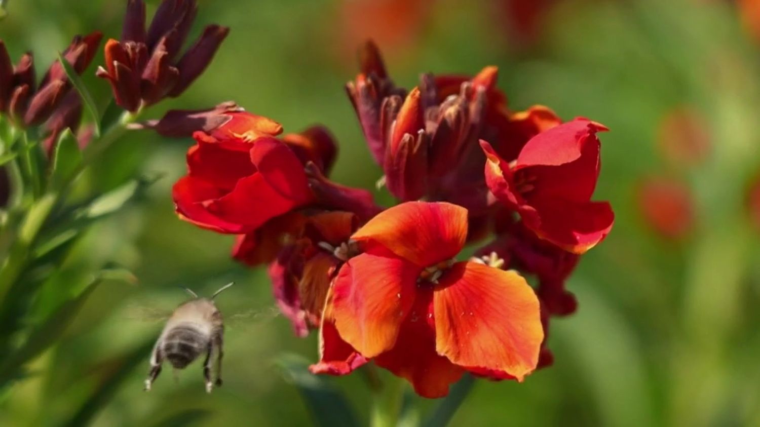 Pollen, pollution aux particules fines… Les allergies sont de retour