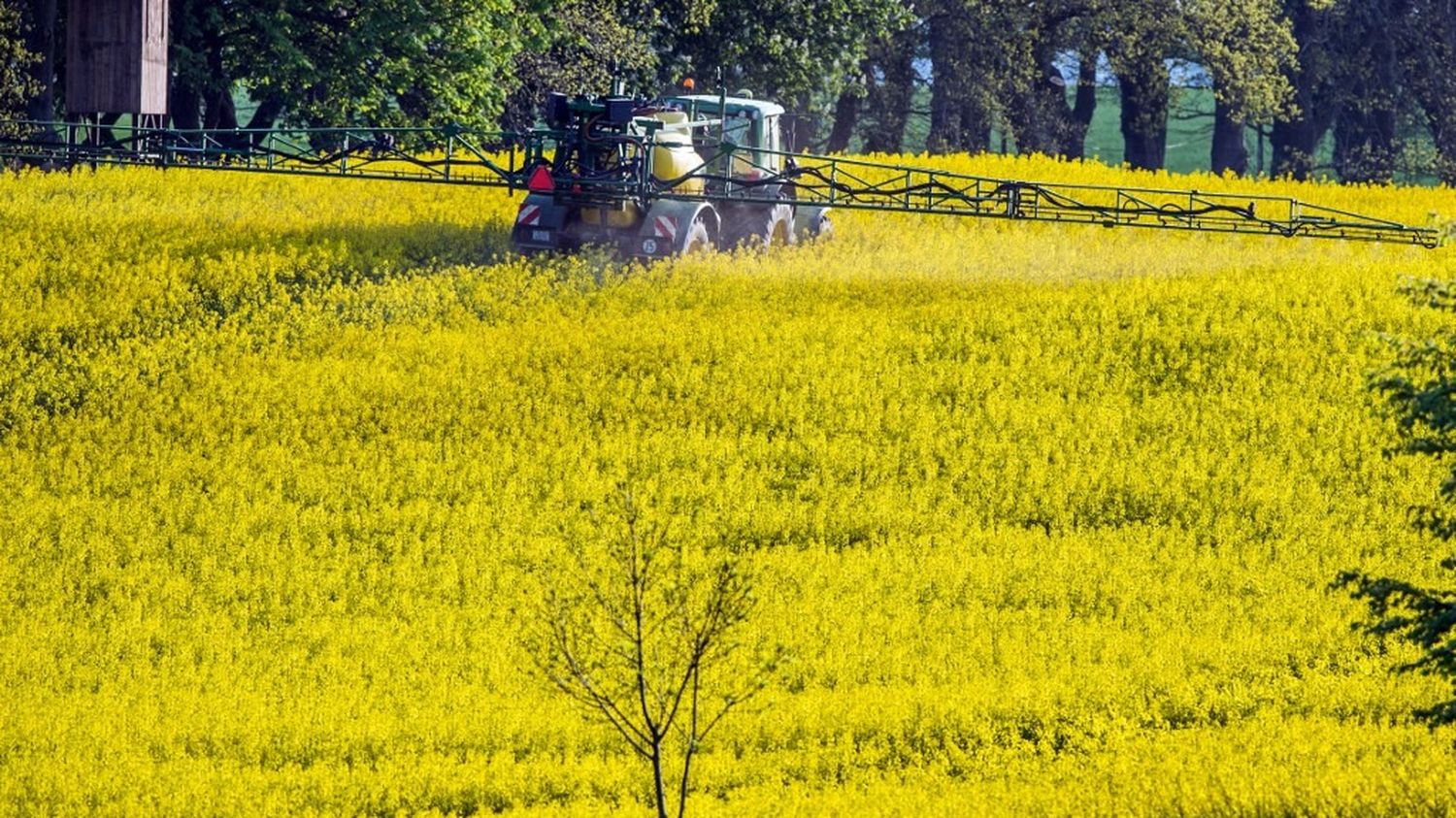 Comment la guerre au Moyen-Orient a fait exploser les prix des engrais et sème le chaos dans les champs