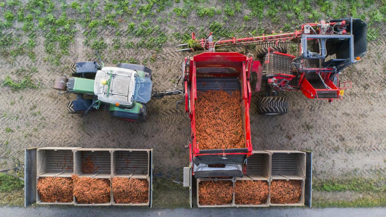 Wie steht es um die Ernährungssicherheit in Deutschland?