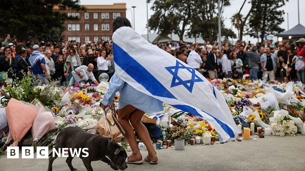 How Bondi's Hanukkah festival turned from joy to horror within minutes