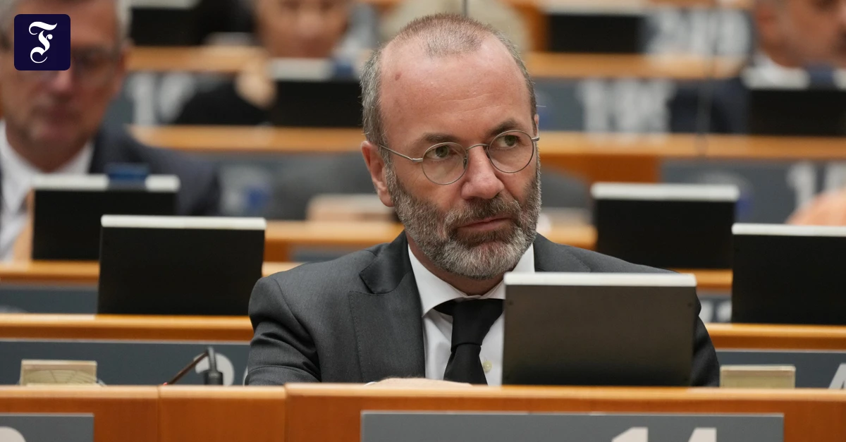 EVP und AfD: Manfred Weber sitzt zwischen den Stühlen