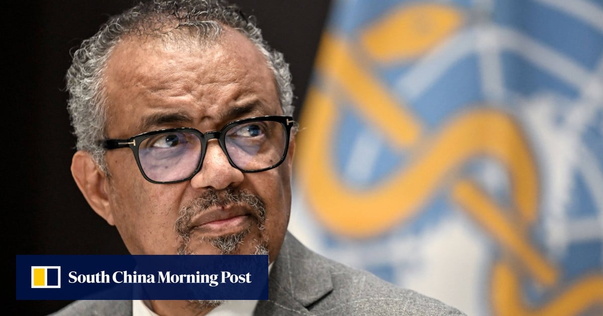 64 killed – including 13 children – in attack on Sudan hospital, WHO says