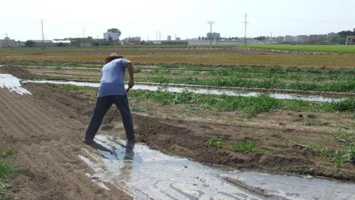 Siempre al lado de los regantes