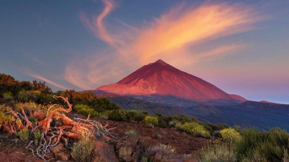 
                                                                                                                     Las jóvenes millennials y Z reescriben Canarias
                                                                                                                 