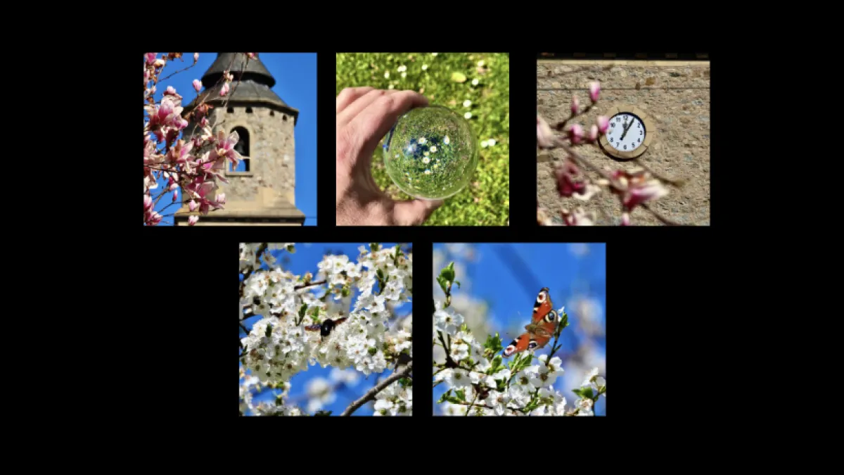 El reloj de la primavera en Campdevànol