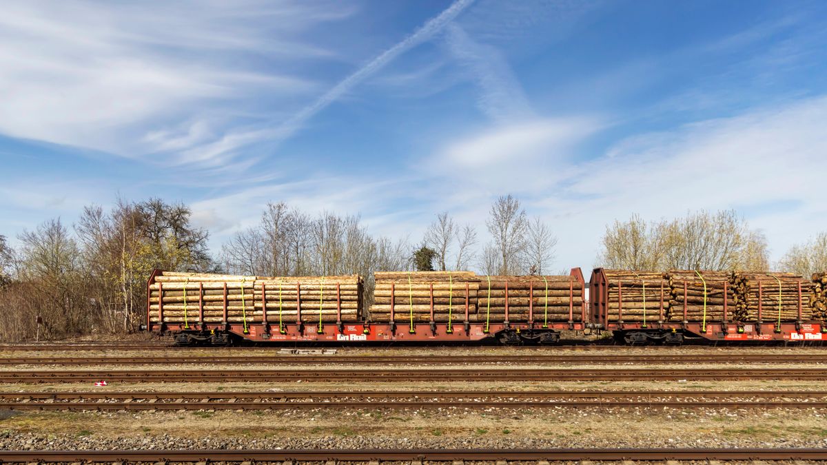 Deutsche Bahn: Wie die DB Cargo-Krise ein Sägewerk in Thüringen trifft