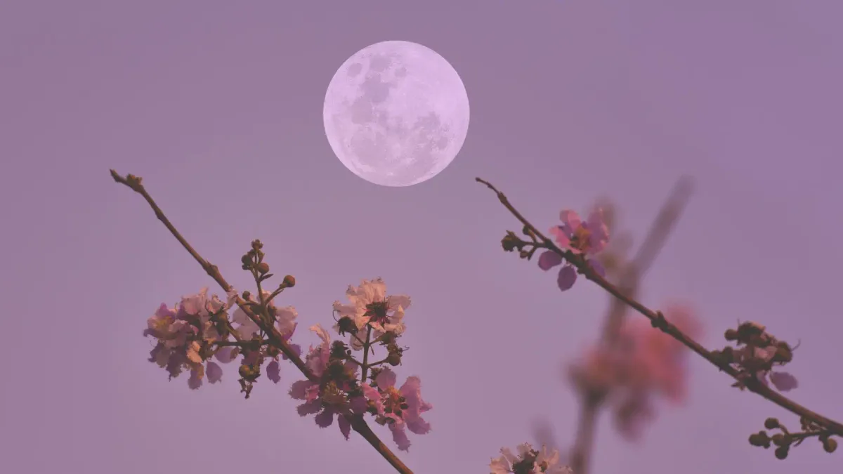 
         Calendario lunar 2026: ya ha comenzado la primavera y con ella llegarán tres espectaculares lunas llenas 
    